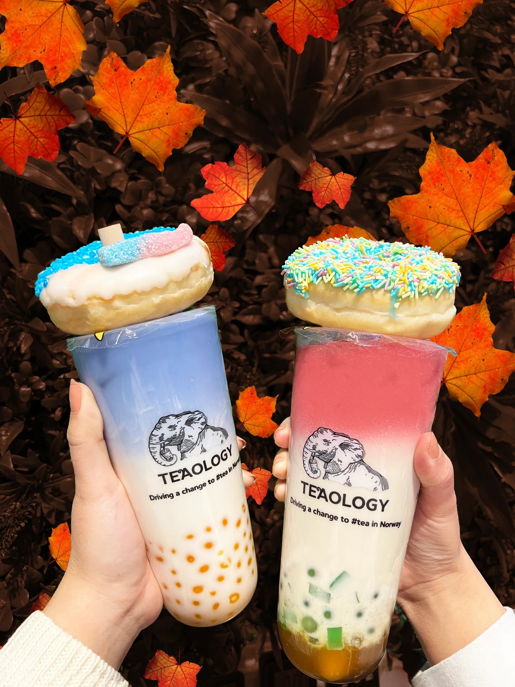 TeaOlogy Trondheim🥤 x The Benny's Donut🍩