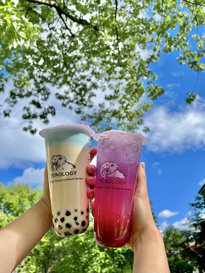 Are you a milk tea or ice tea-lover?