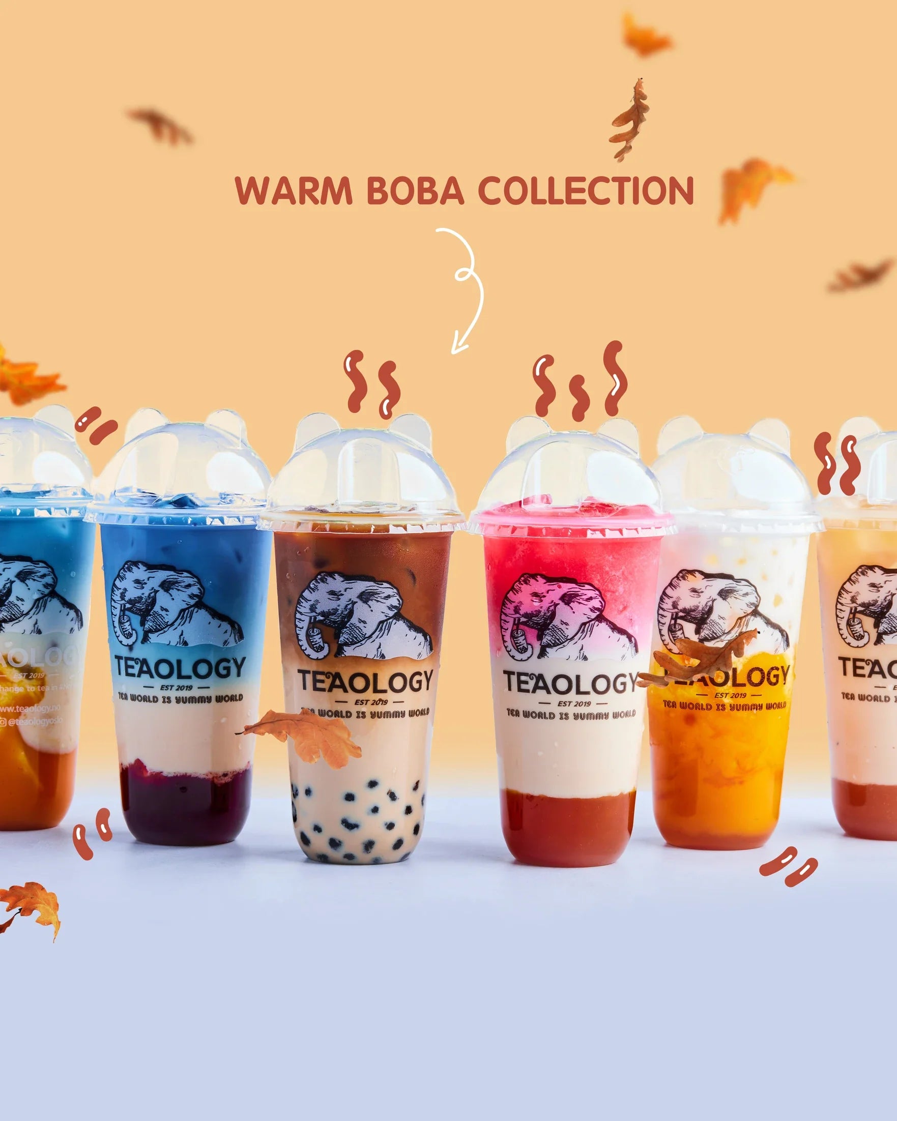 WARM BOBA COLLECTION🌞